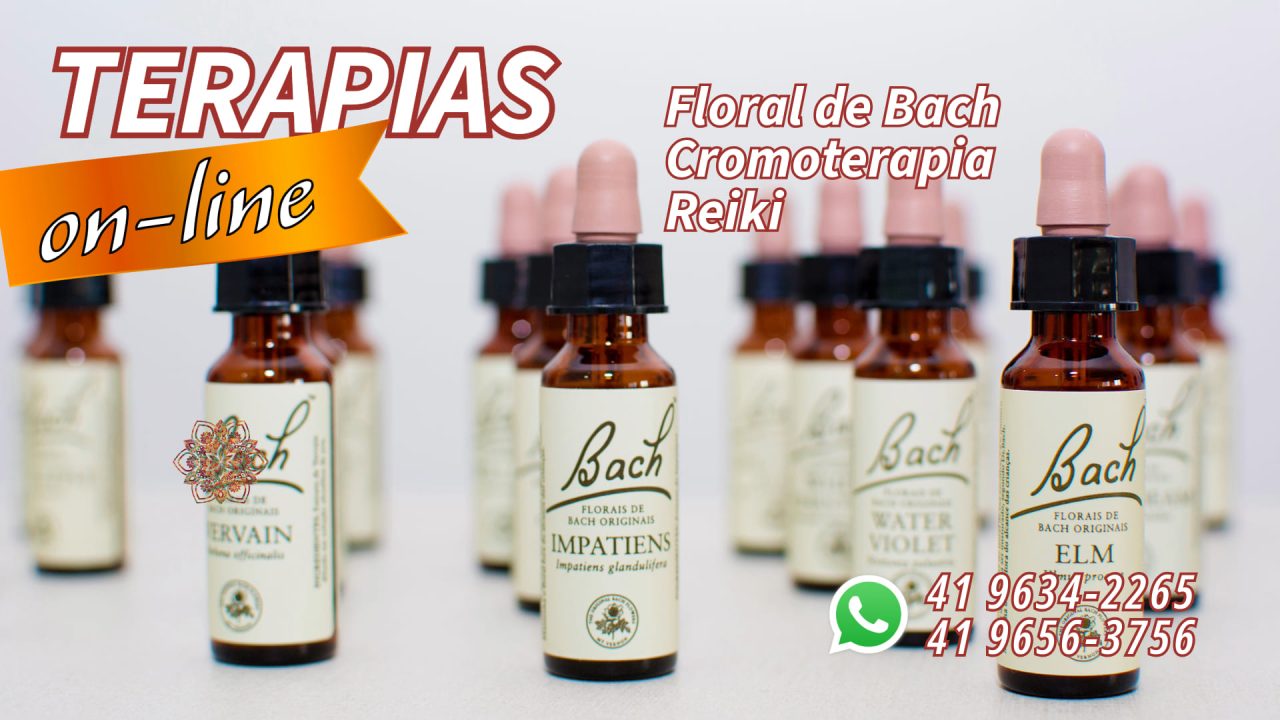 p novidades site (1)